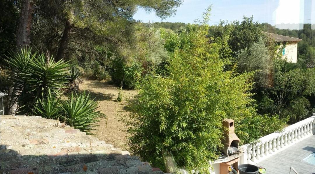 Appartement Pinede Man Yelle Sanary-sur-Mer Bagian luar foto